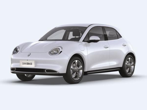 GWM ORA 03 300 mit 5 Jahren Herstellergarantie Leasing