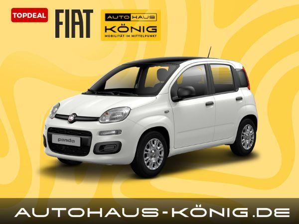 Fiat Pandina Bicolore | Mit Einparkhilfe und Klimaanlage | Sofort verfügbar ❗️ Leasing