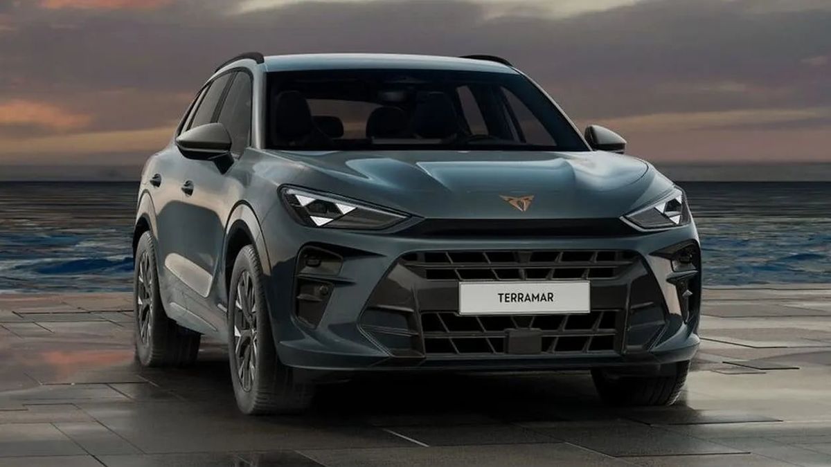 Cupra Terramar 1.5 e-HYBRID DSG Auto-Abo