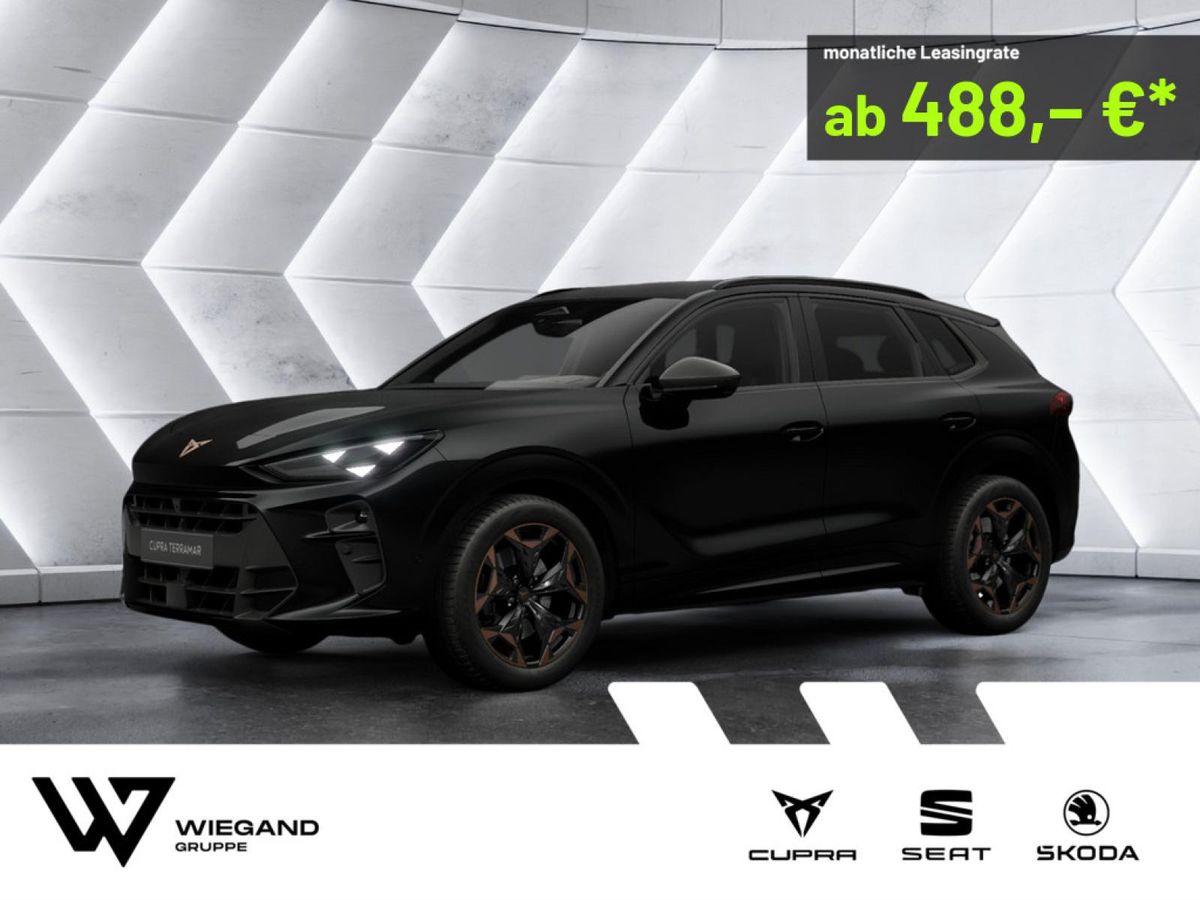 Cupra Terramar VZ 2.0 TSI 7-Gang DSG 4Drive LED 360° Leasing