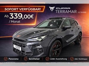 Cupra Terramar 1.5 TSI DSG Panorama|Sennhsr|Leder|19" Sofort!