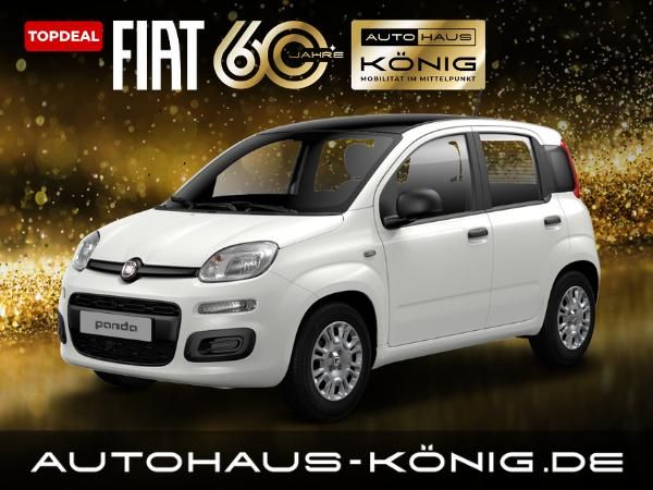 Fiat Panda Citypaket | ***Mit Einparkhilfe❗️*** | 2 Jahre Garantie Leasing