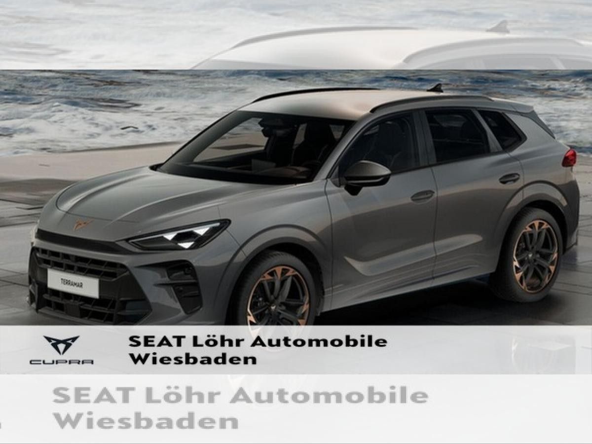 Cupra Terramar VZ 2.0 TSI DSG 4Drive Digital Drive Paket Pano Leasing