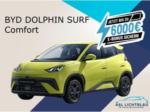BYD DOLPHIN SURF Brandenburg & Berlin: Top-Angebote für Kunden aus der Region
