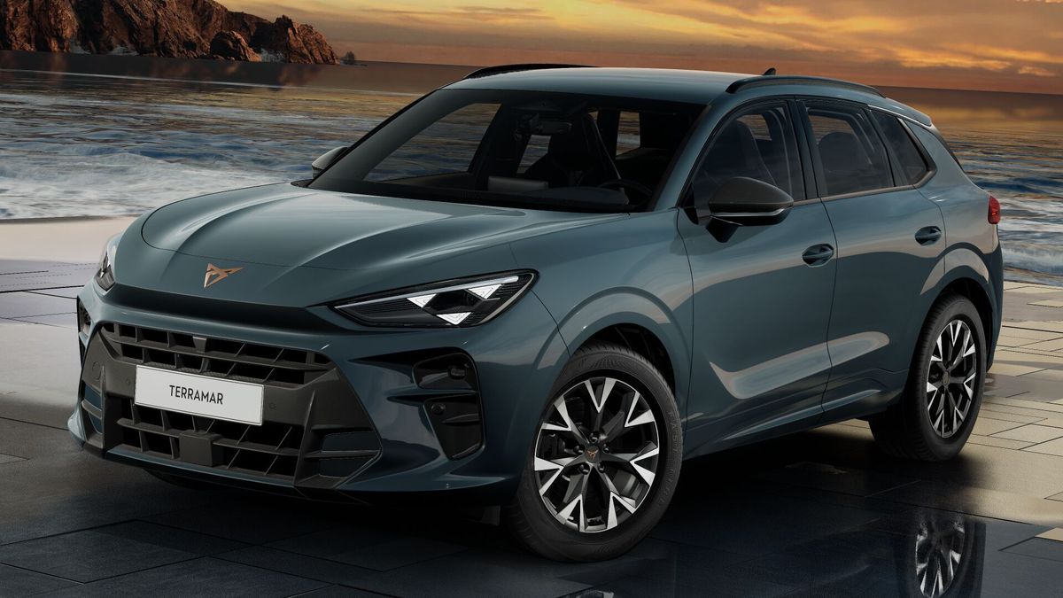 Cupra Terramar 2.0 TSI 204 PS 7-Gang DSG 4Drive Leasing