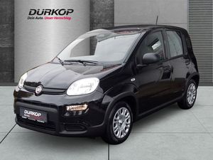 Fiat Panda 1.0 PDC Klimaanlage el. Fenster el. Spiege Leasing