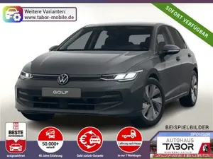 Volkswagen Golf 8 TDI AHK Ready2D ParkAs+ SHZ PrivG Kam 17Z