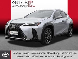 Lexus UX-300h F Sport Design NAVI SHZ PDC KLIMA 