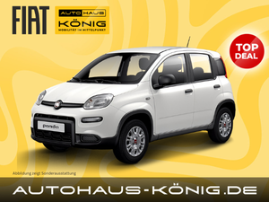 Fiat Panda Sunny Deal 🔆 | Citypaket | Einparkhilfe❗️ Leasing