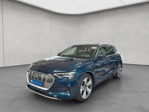 Audi e-tron 55 quattro advanced Panorama