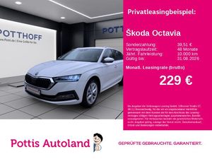 Skoda Octavia Combi 2.0 TDI DSG STYLE NAVI SITZHZG PDC