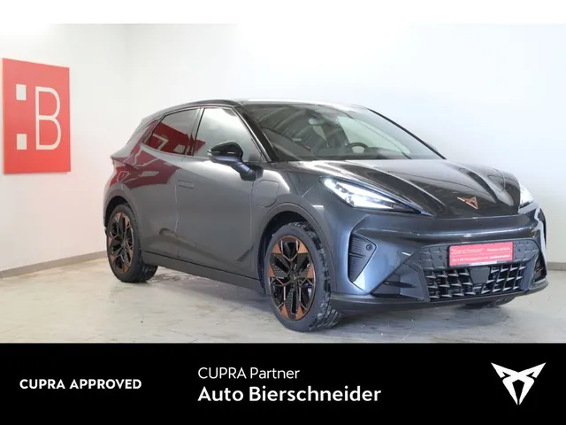 Cupra Raval ENDURANCE 19 NAVI MATRIX SENNH. 5J.-GARANT