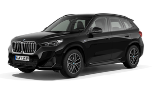 BMW X1 sDrive20i Steptronic sDrive20i Steptronic Auto-Abo