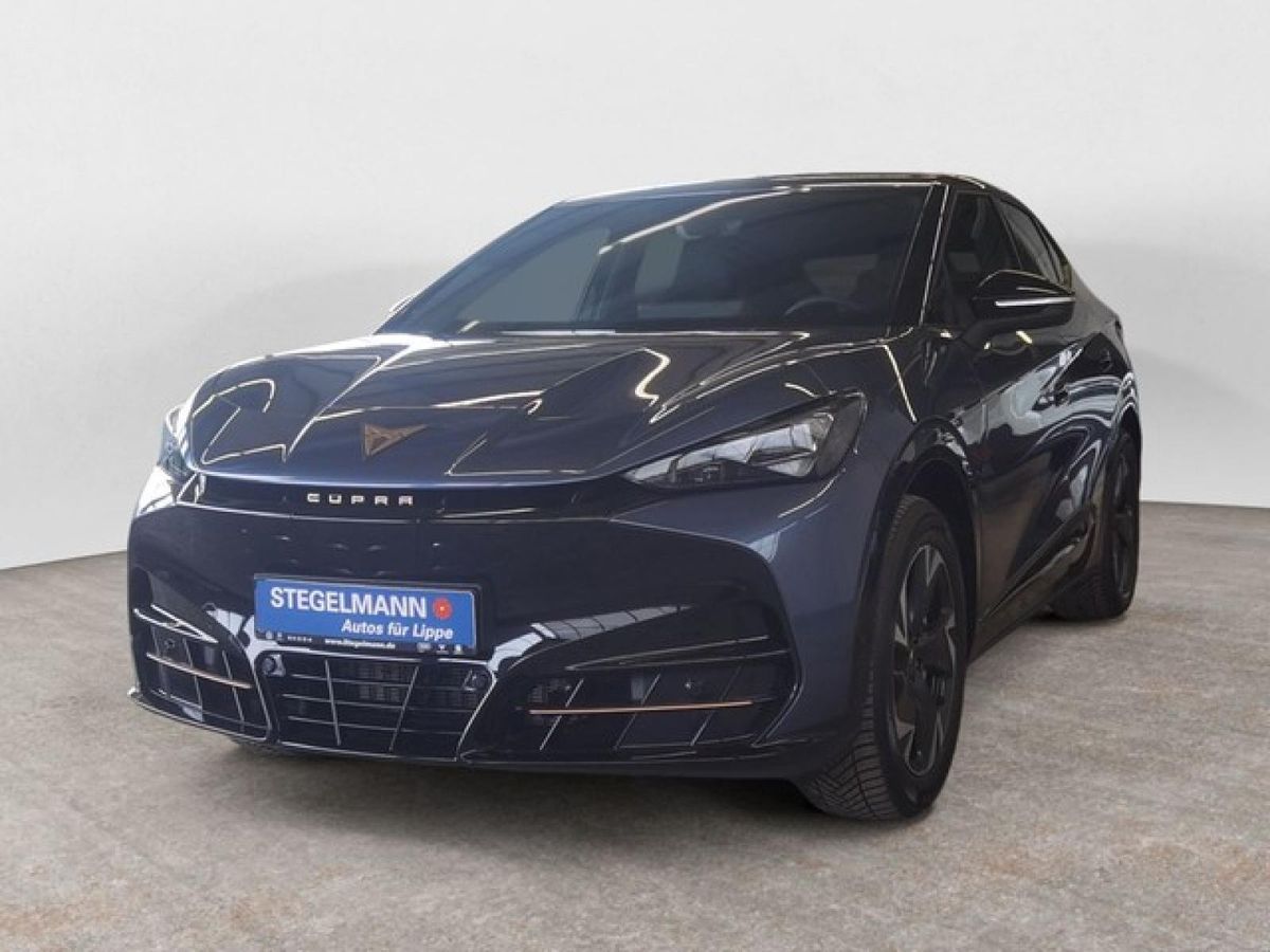 Cupra Tavascan Ganzjahresreifen Drive Pack Rückfahrkamera Leasing