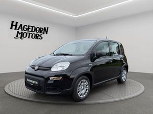 Fiat Panda Pandina TZ nur 99€ sofort verfügbar