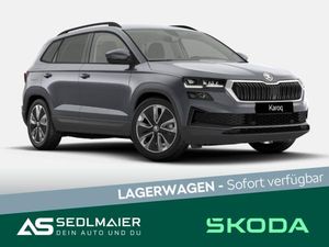 Skoda Karoq 2.0 TDI Tour 4x4 AHK|MATRX|RCam|W-Paket|ACC