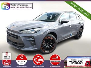 Cupra Terramar VZ Akebono Pano Matrix 360° HuD Nav 20"