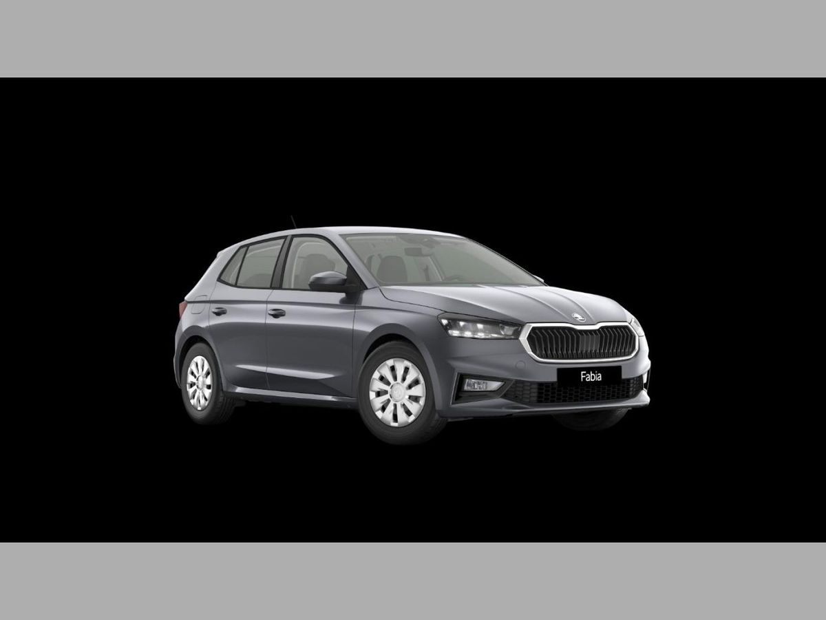 Skoda Fabia 1.0 TSI Tour LED PDC GRA RFK SmartLink LED Leasing