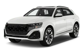 Audi Q8 SUV TFSI e e-hybrid 290 kW quattro tiptronic
