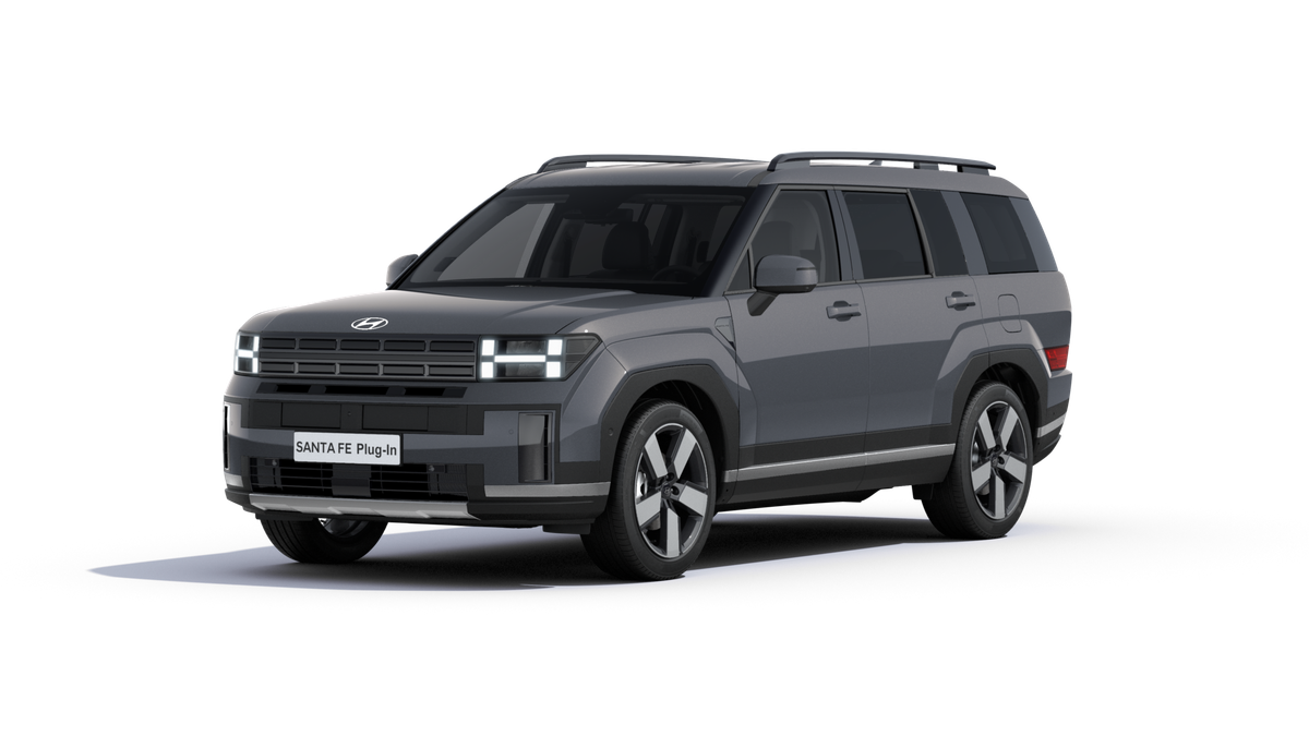 Hyundai SANTA FE SIGNATURE Auto-Abo