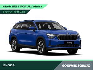 Skoda Kodiaq Selection 1.5 TSI mHEV - VS - ⭐BEST FOR ALL⭐