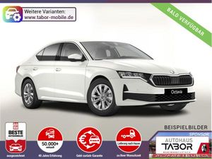Skoda Octavia DSG Selec Nav ACC SideA Kessy el.Heck