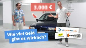 wirkaufendeinauto und co test erfahrungen