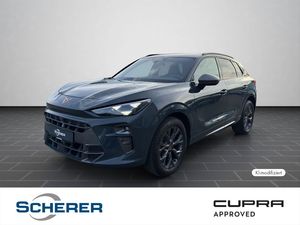 Cupra Terramar 1.5 eTSI DSG 5J-Garantie Sennheiser Mat