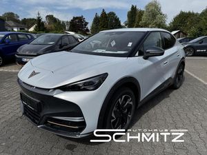Cupra TAVASCAN ENDURANCE *286* (SOFORT !! )++Dr  [...]