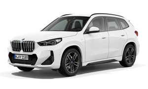 BMW X1 xDrive20d Steptronic xDrive20d Steptronic Auto-Abo