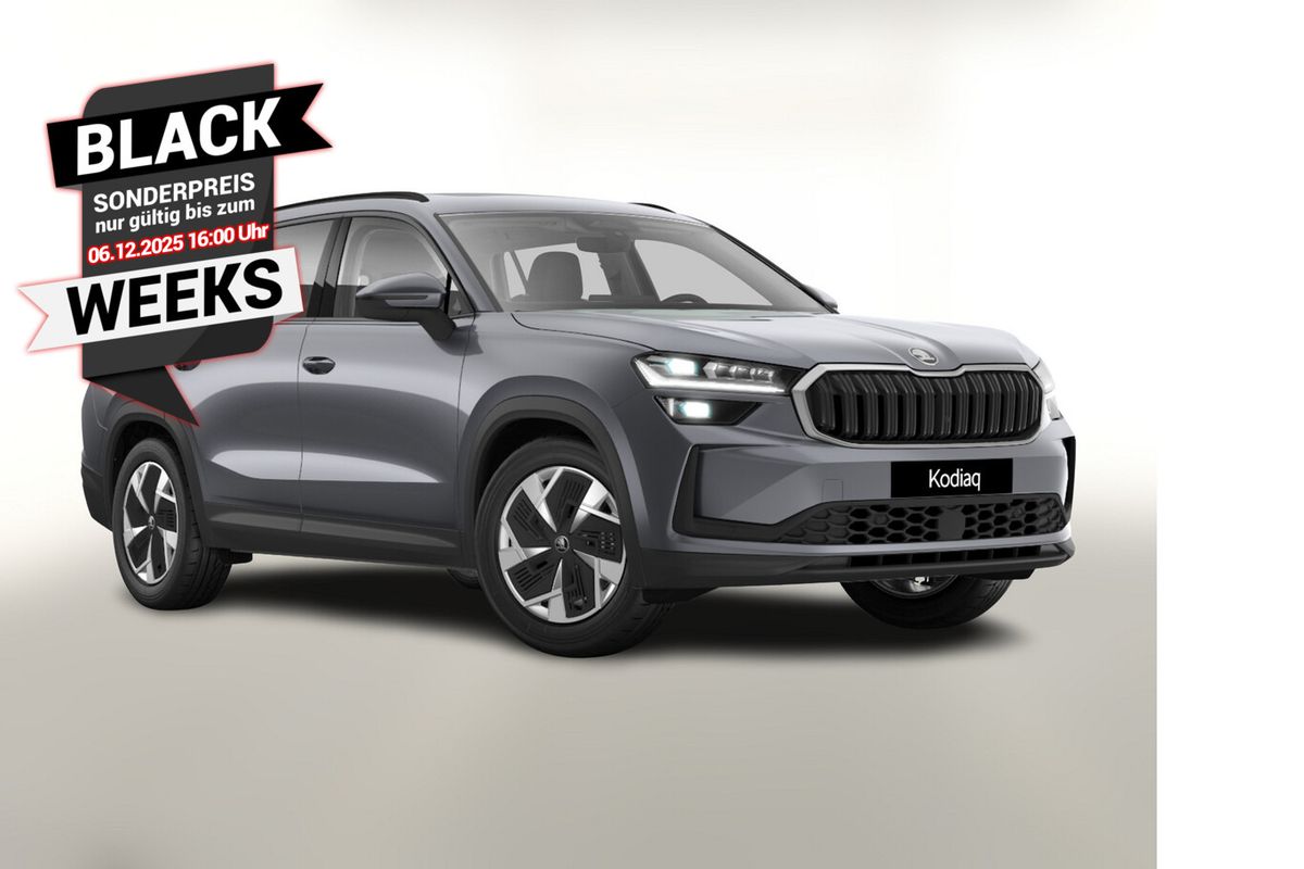 Skoda Kodiaq eTSI DSG Selec AHK Pano Matrix Nav ACC Auto-Abo privat Auto-Abo