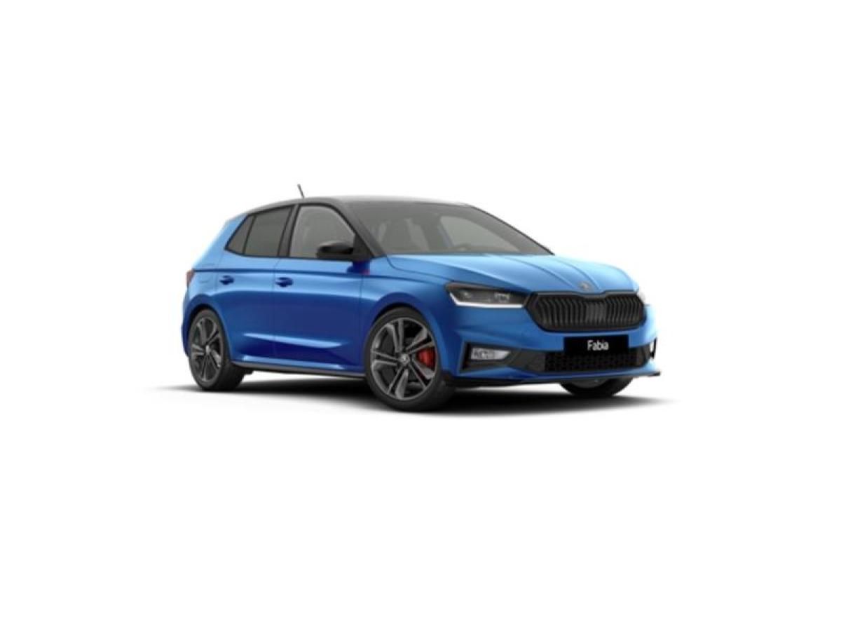 Skoda Fabia 1.5l TSI 130 Jahre Edition ❗️Eroberungsaktion❗️ Leasing