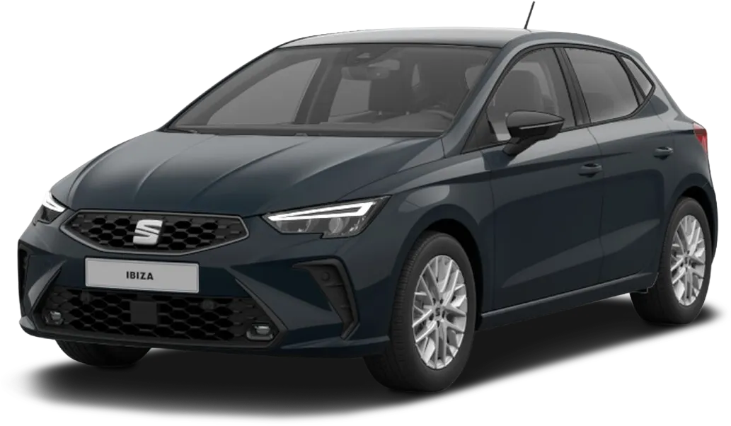 SEAT Ibiza Vehicle Model