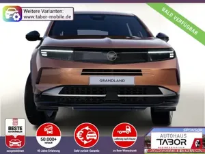 Opel Grandland Grandland Hybrid TechP Nav ACC Keyl Klimaaut