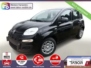 Fiat Panda ICON 5S PDC 5"-DAB DigC Temp LaneA S&S BT