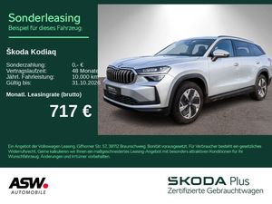 Skoda Kodiaq Selection 2.0 TDI 4x4 DSG 360° Stdhzg AHK