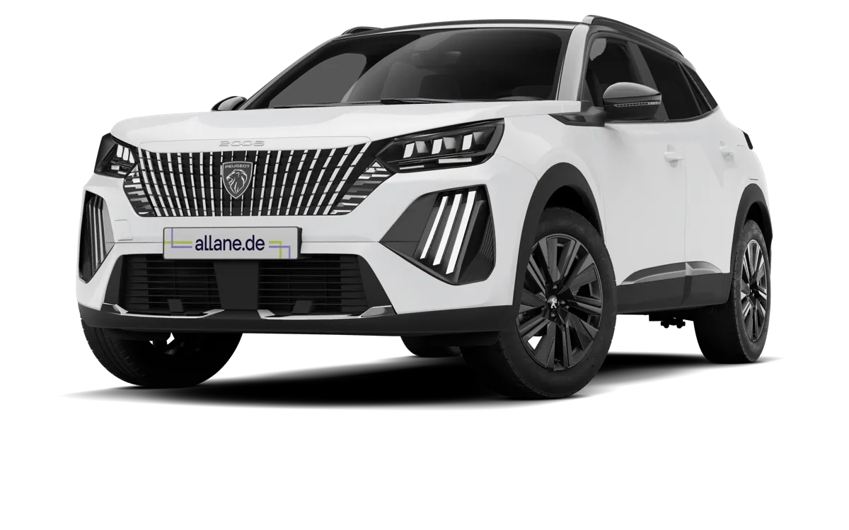 Peugeot Peugeot 2008 HYBRID 110 e-DSC6 Business Leasing