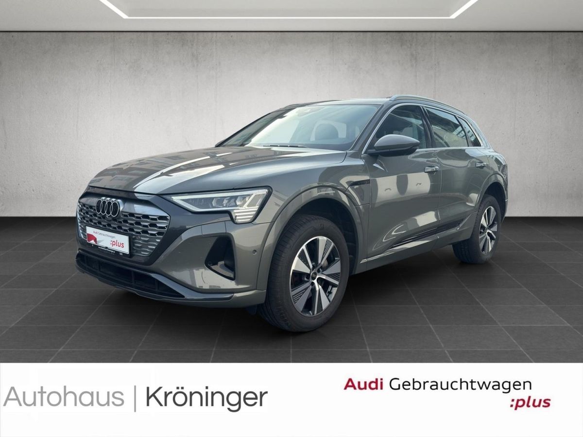 Audi Q8 50 quattro advanced Matrix Luft Leder Kamera Leasing