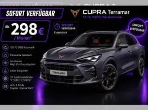 Cupra Terramar Cupra Terramar 1.5 TSI DSG Panorama|Sennhsr|Leder|19" Sofort!