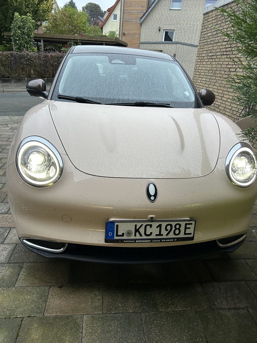 248 Euro Leasing für GWM Ora 400pro abzugeben!/ 15.000km jährlich Leasingübernahme