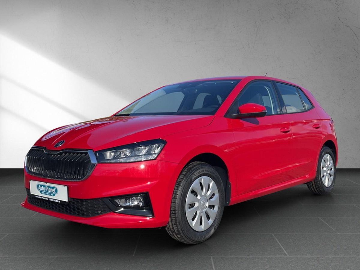 Skoda Fabia 1.0 TSI SELECTION **PRIVAT**SOFORT** l DAB l LED l SHZ l PDChi l KLIMA l Leasing