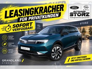 Opel Grandland Hybrid 107 kW GS|TECHPAKET|INFOTAINMENTPAKET|ALLWETTER