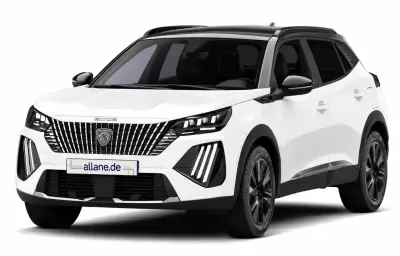 Peugeot 2008 HYBRID 110 e-DSC6 Business Leasing