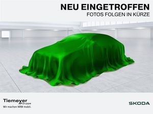 Volkswagen Passat Alltrack 2.0 TDI 4M NP68 LM19 LEDER PANO