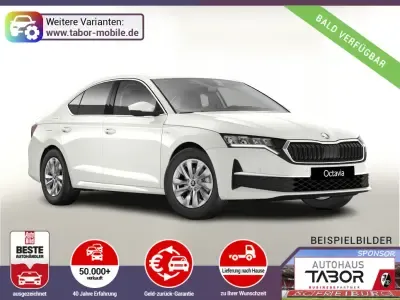Skoda Octavia DSG Selec Nav ACC SideA Kessy el.Heck Auto kaufen