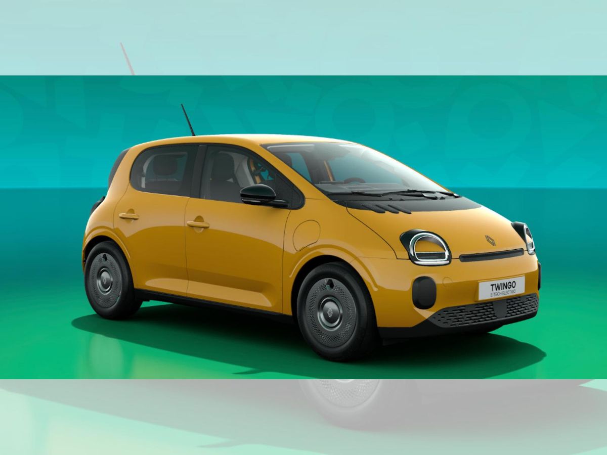 Renault Twingo Für Pflegedienste & Caritative Dienste Leasing