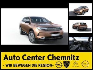 Opel Grandland Edition | Mild-Hybrid mit Allwetterreifen Gerwerbehammer