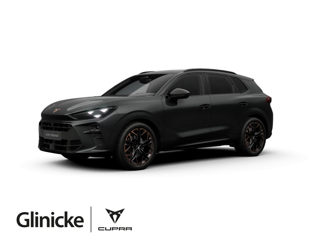Cupra Terramar 2.0 TSI DSG VZ 4Drive Matrix 20