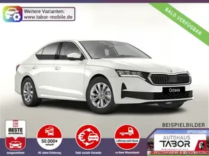 Skoda Octavia DSG Selec Nav ACC SideA Kessy el.Heck