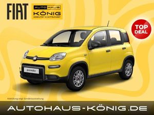 Fiat Panda Citypaket | Hot Summer Deal 🔥 | Sofort verfügbar | Reduzierte Bereitstellungskosten❗️ Leasing